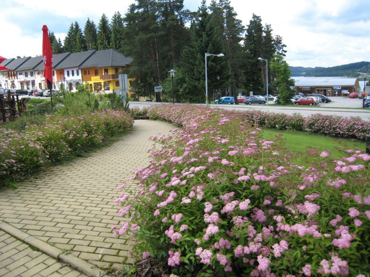 Apartman Riviera Lejlighed Lipno nad Vltavou Eksteriør billede